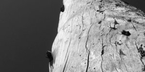 Gansbaai FotografieklubSeLaastes1 (1)_1